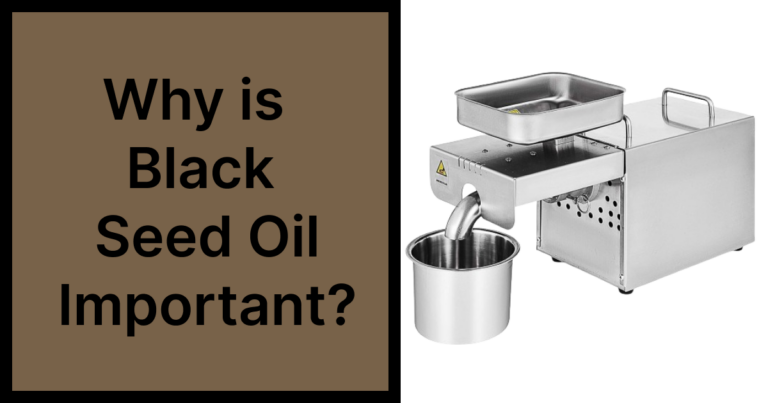 Why is Black Seed Oil Important?