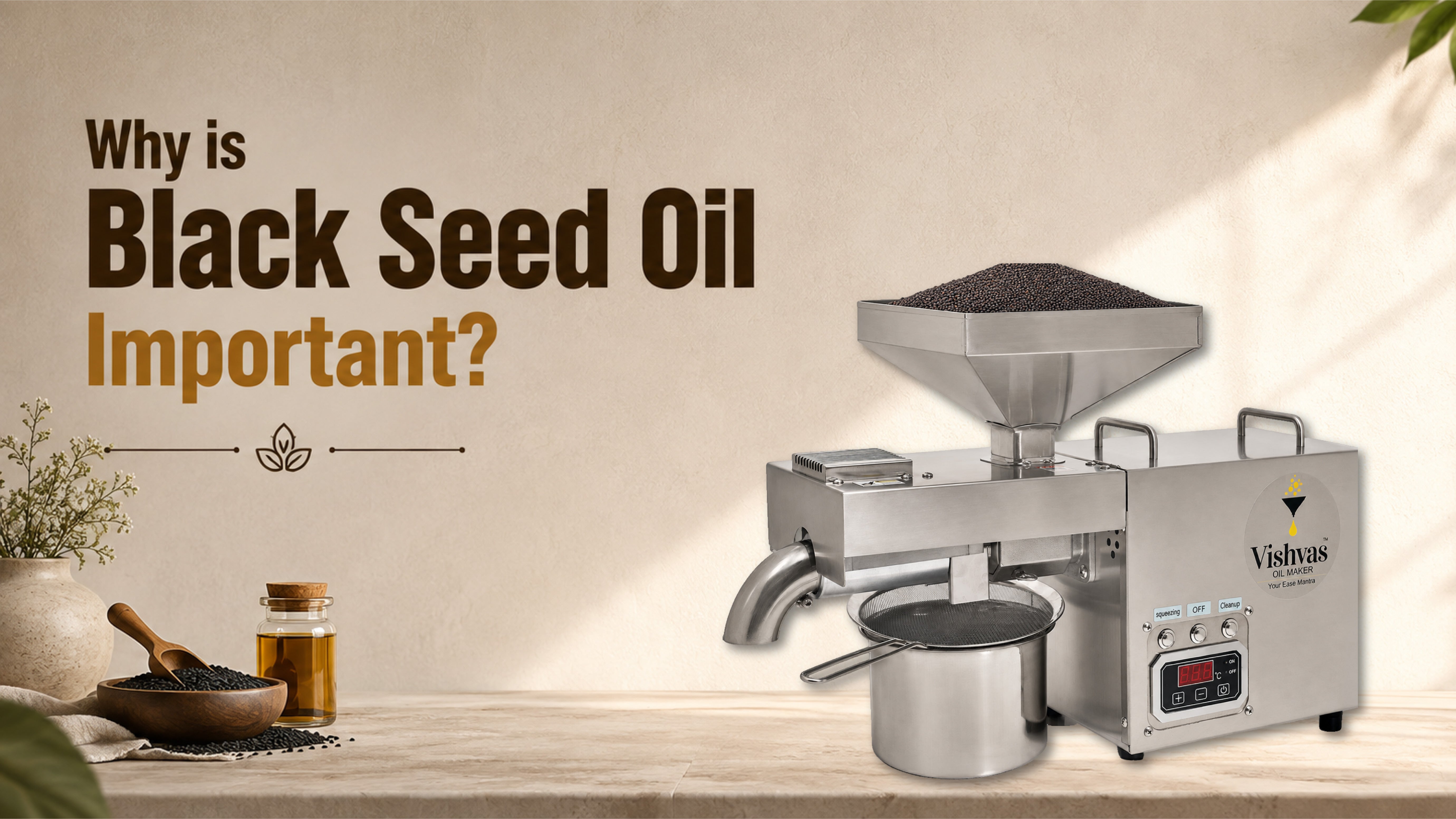 Why is Black Seed Oil Important?