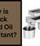 Why is Black Seed Oil Important?