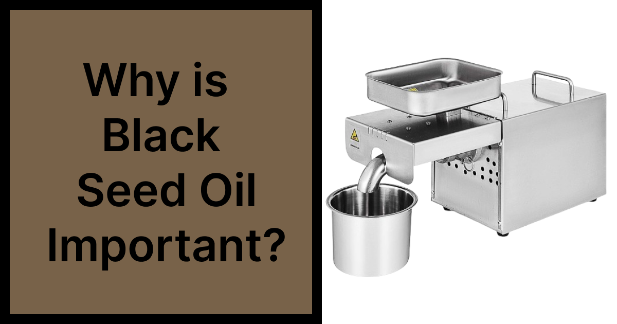 Why is Black Seed Oil Important? - Vishvas Oil Maker